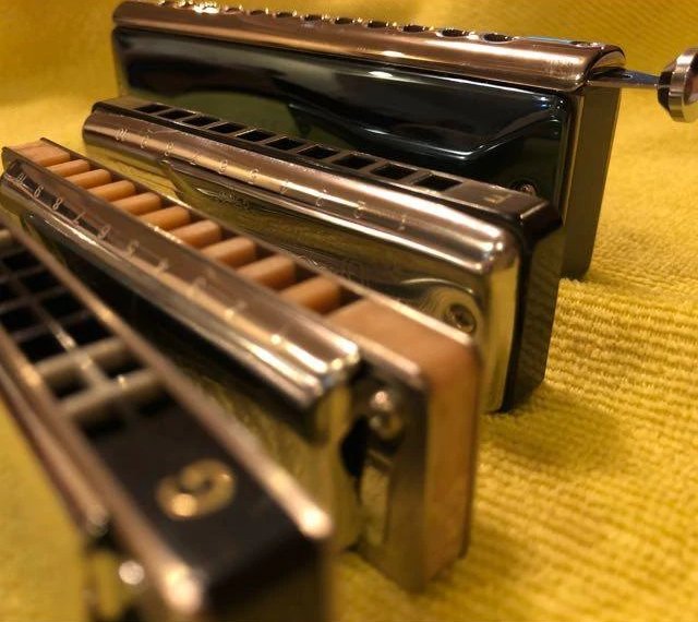Chromatic and diatonic harmonicas lined up side by side